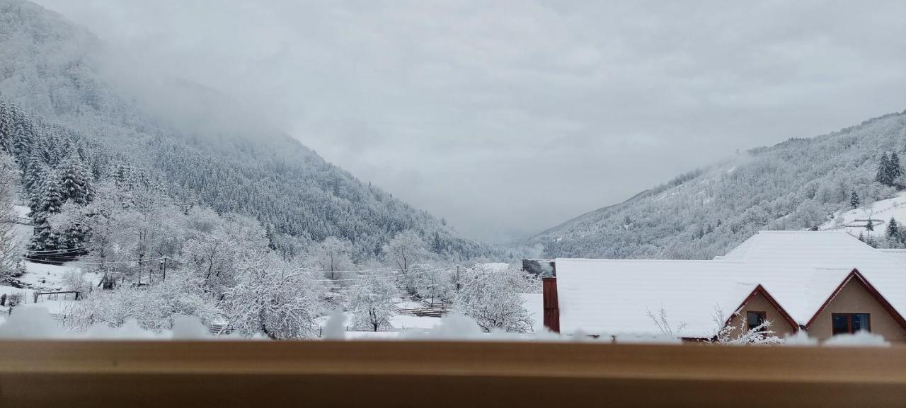 Садиба Квітка Карпат Ruska Mokra Bagian luar foto