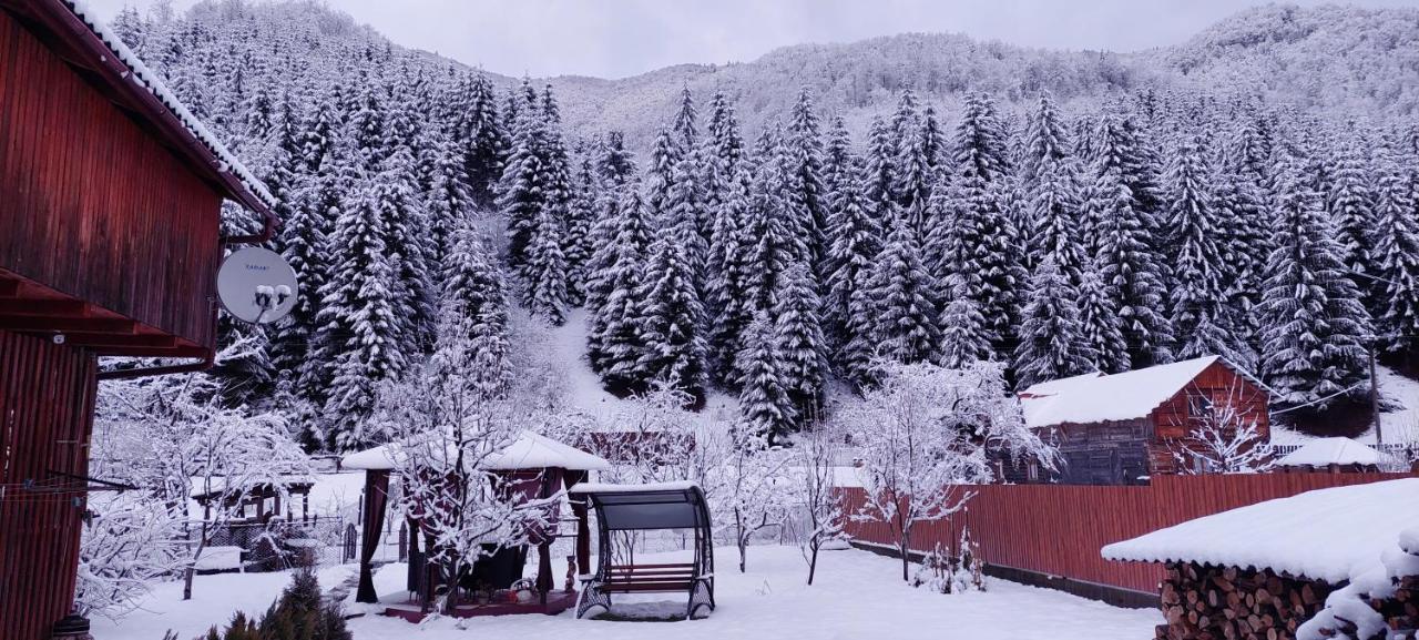Садиба Квітка Карпат Ruska Mokra Bagian luar foto